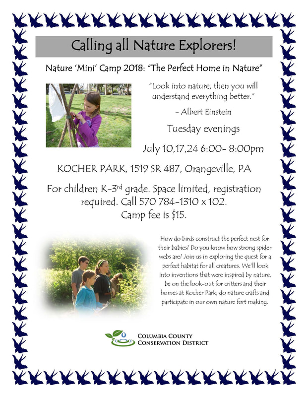 Summer Camps Columbia County Conservation District